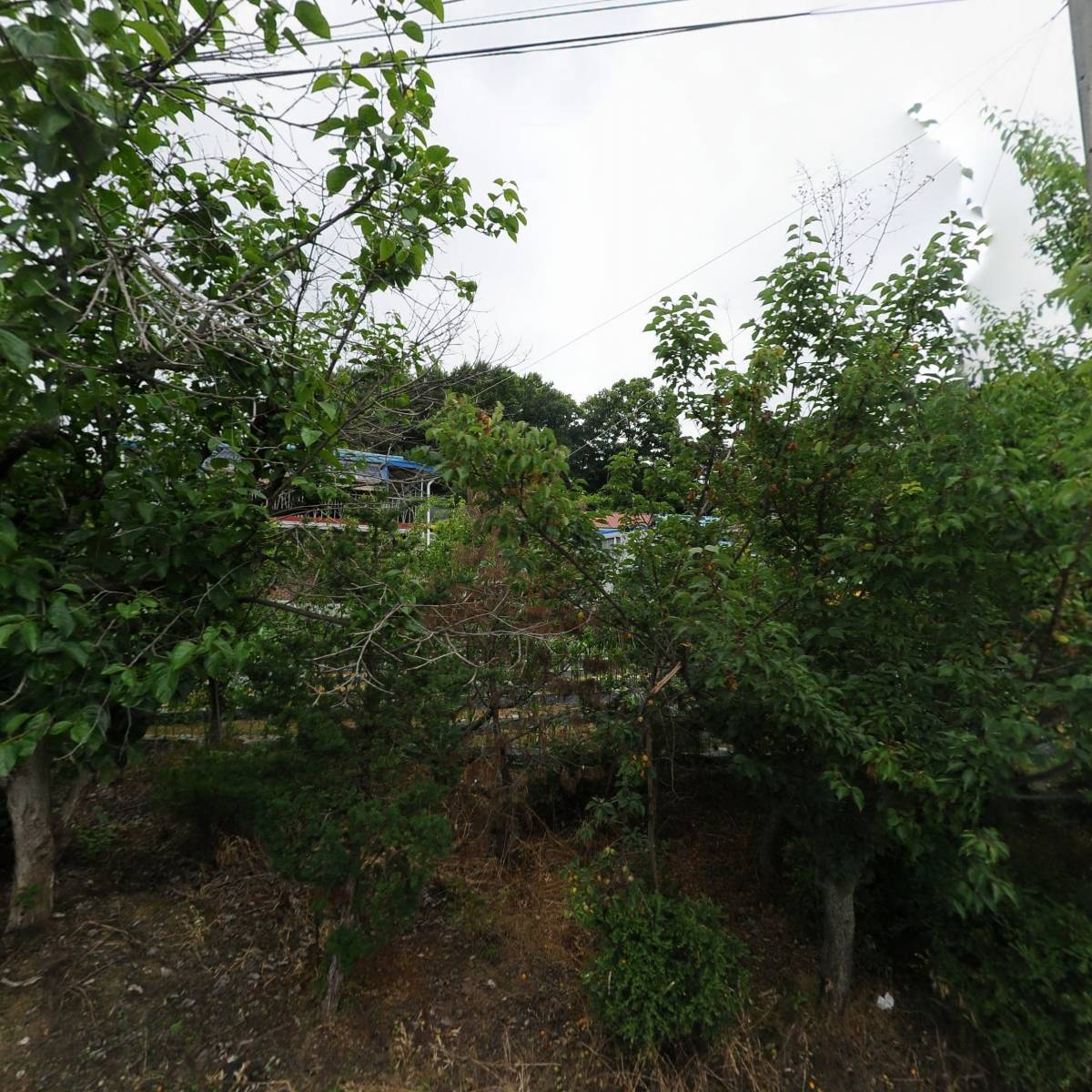 동양네오스
