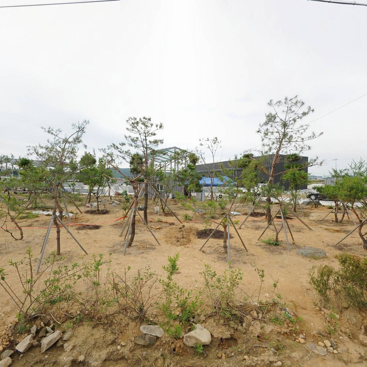 대한식품(주)