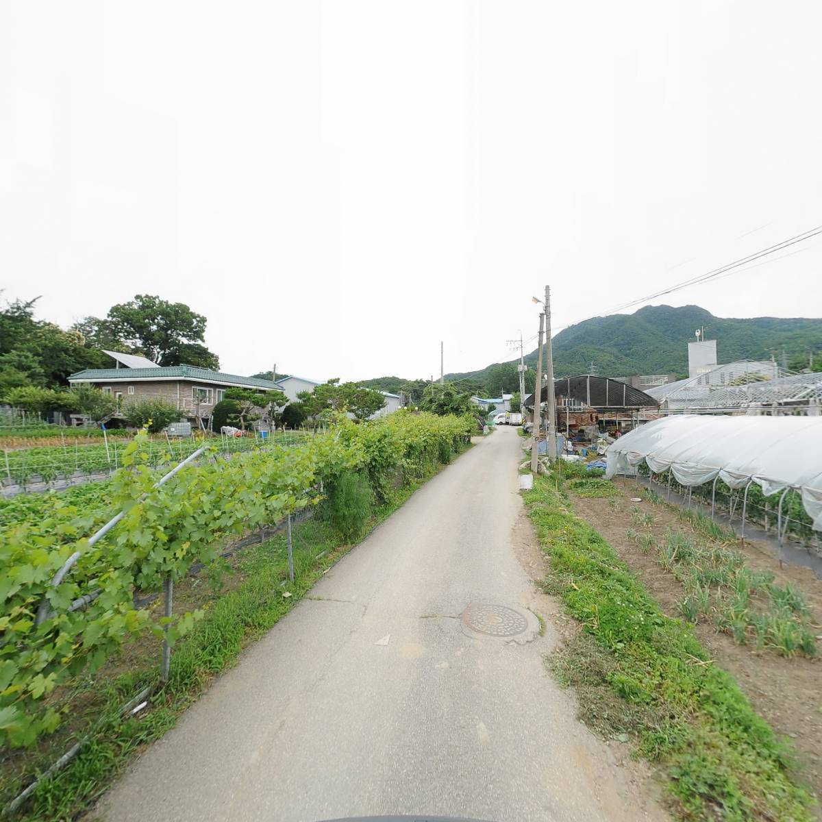 하이바이 분양소_2