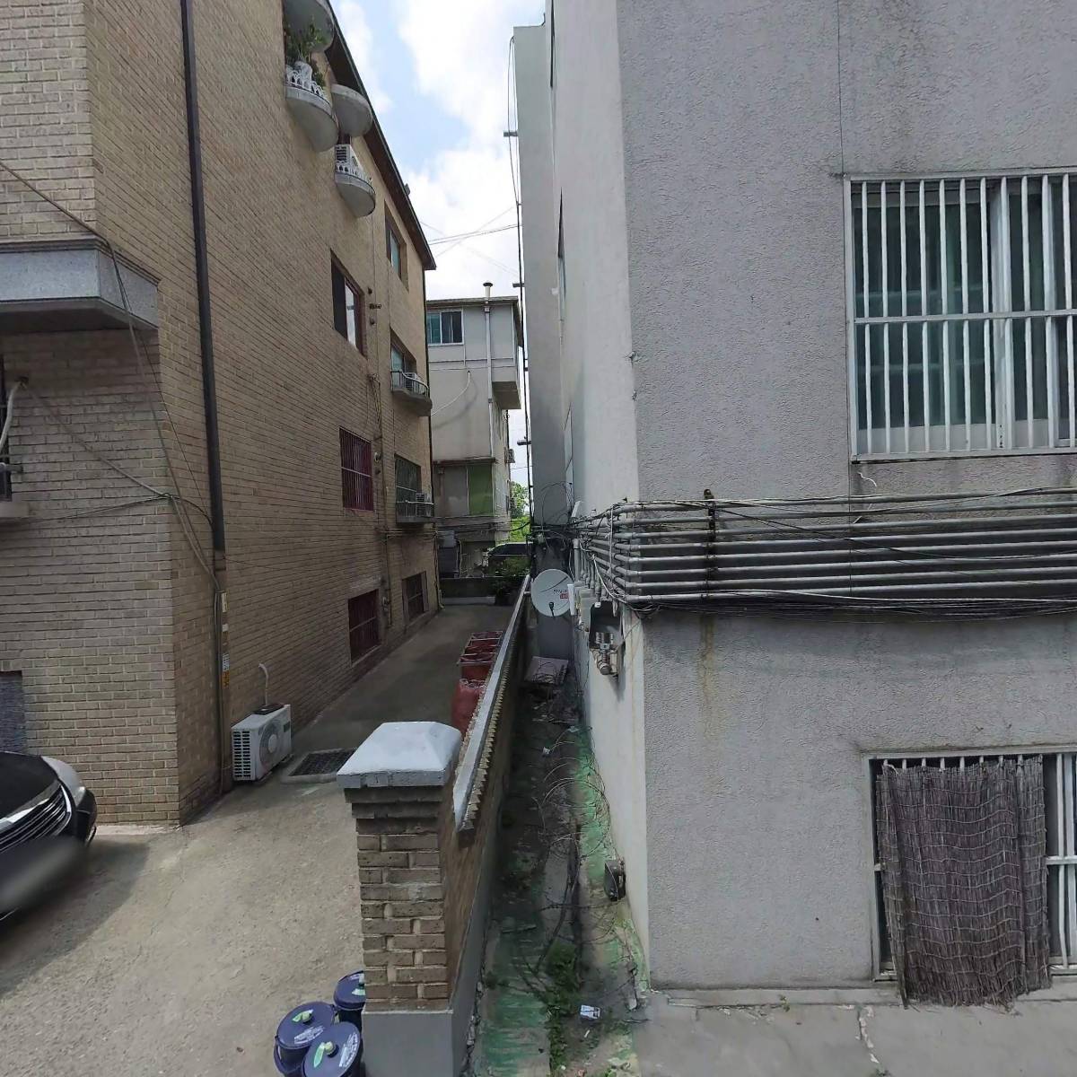 필로덴드론 스튜디오