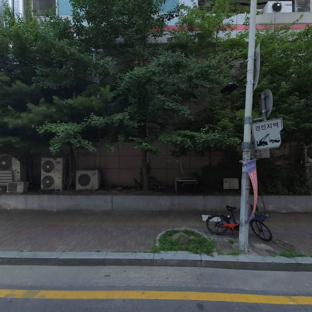 BMS Pharm(비엠에스팜)