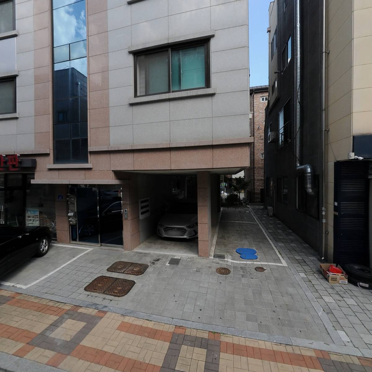 트리피컬