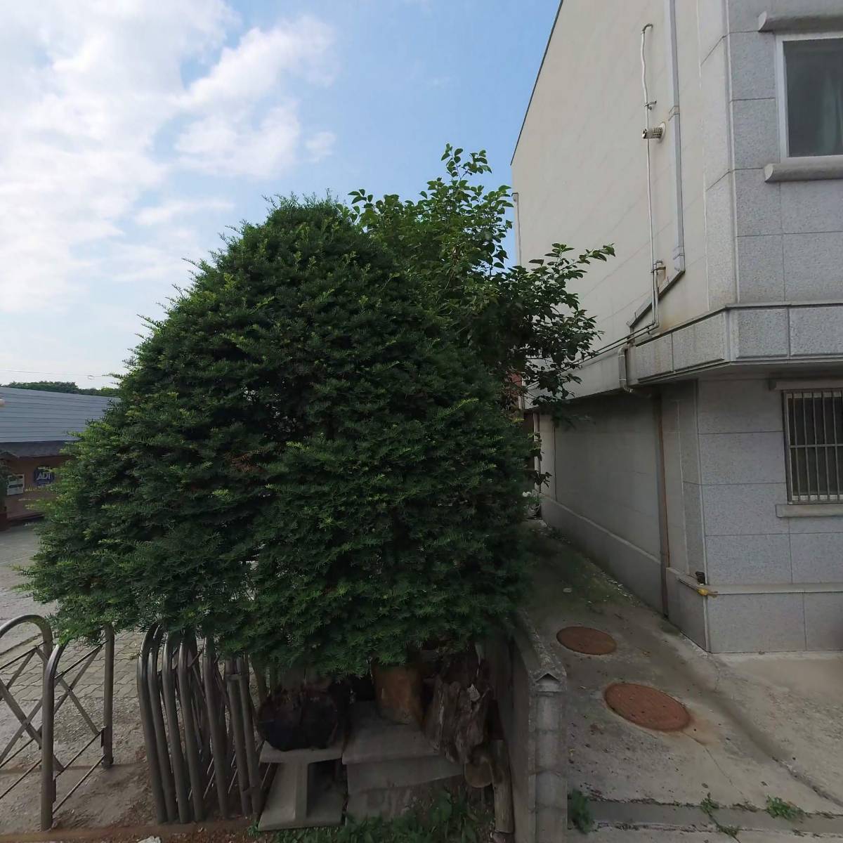 화전분재예술원_3