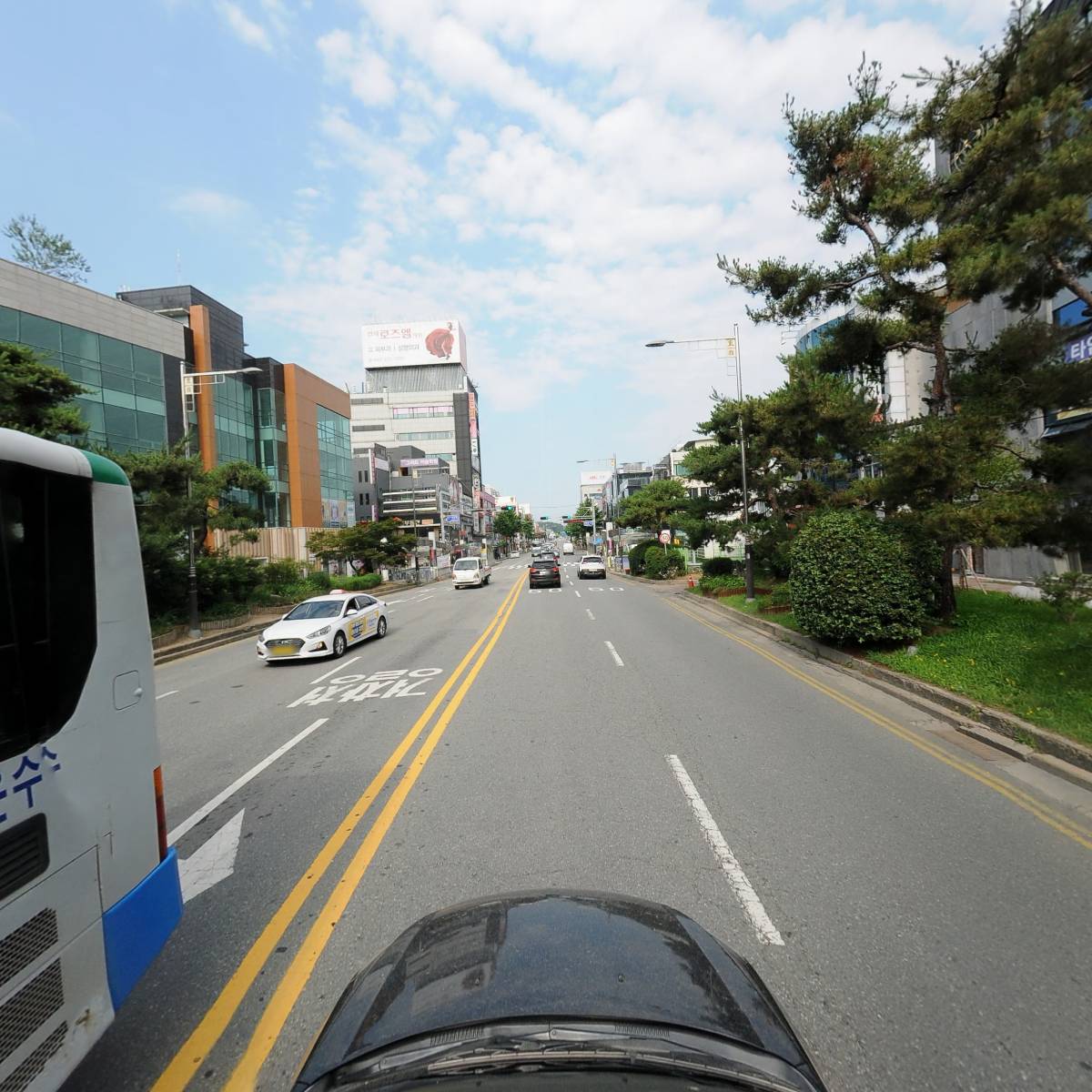 헤도닉_4