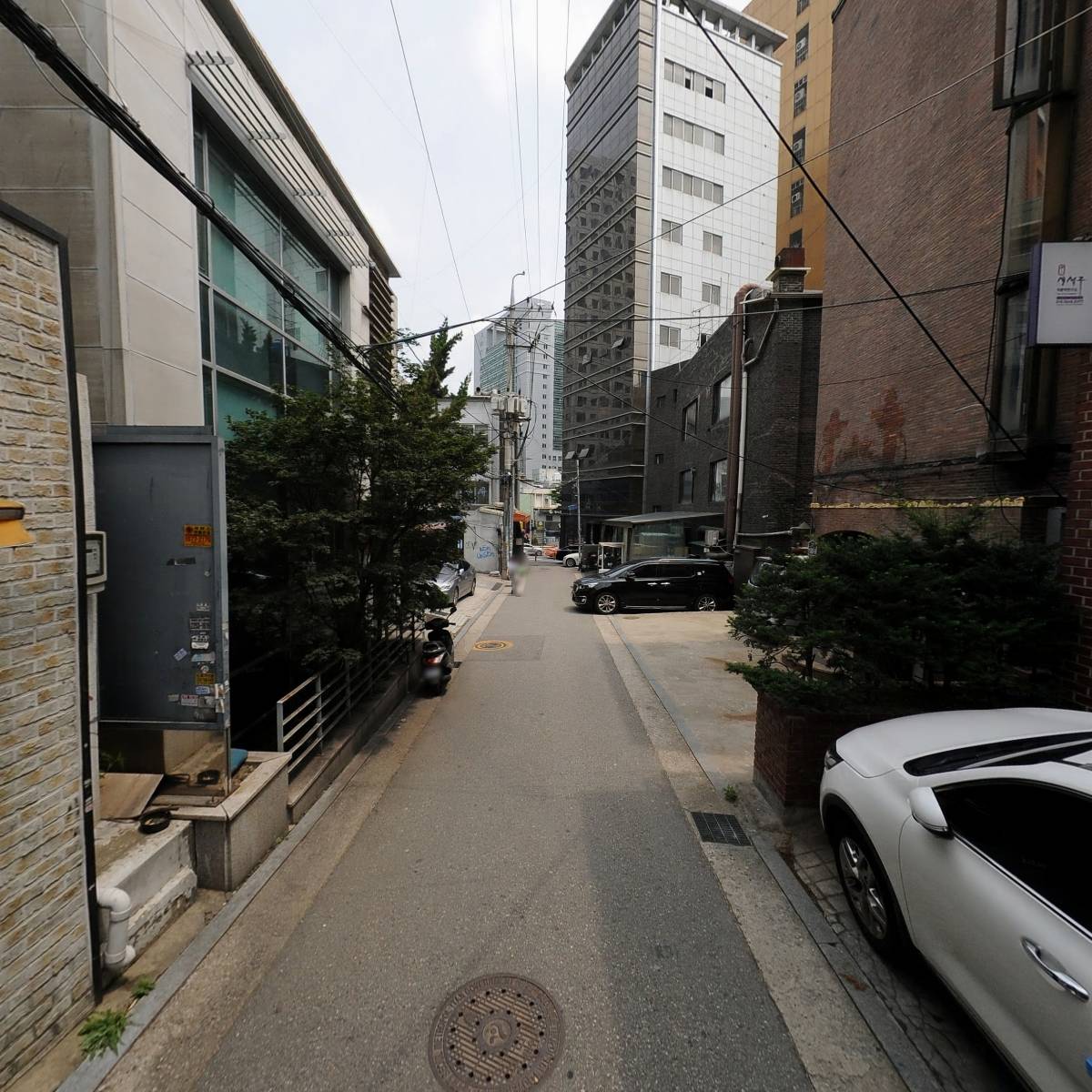 금성정판사_2