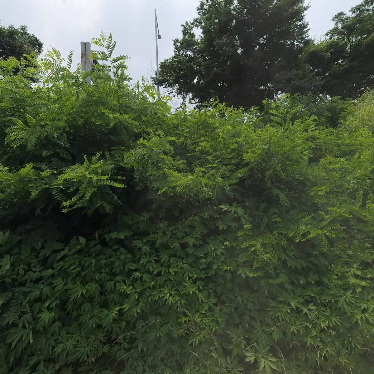 주식회사 해피칼라