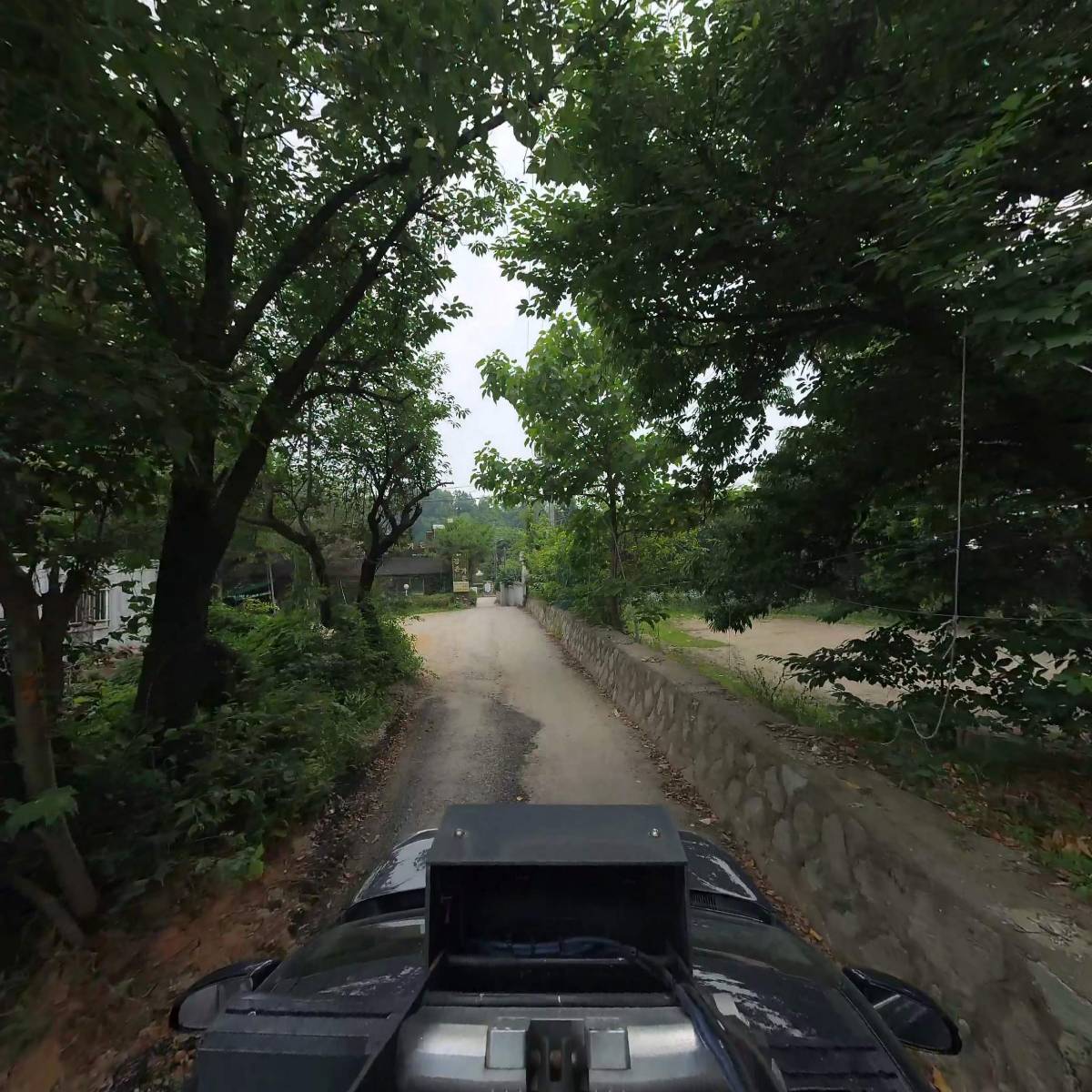 금용_4