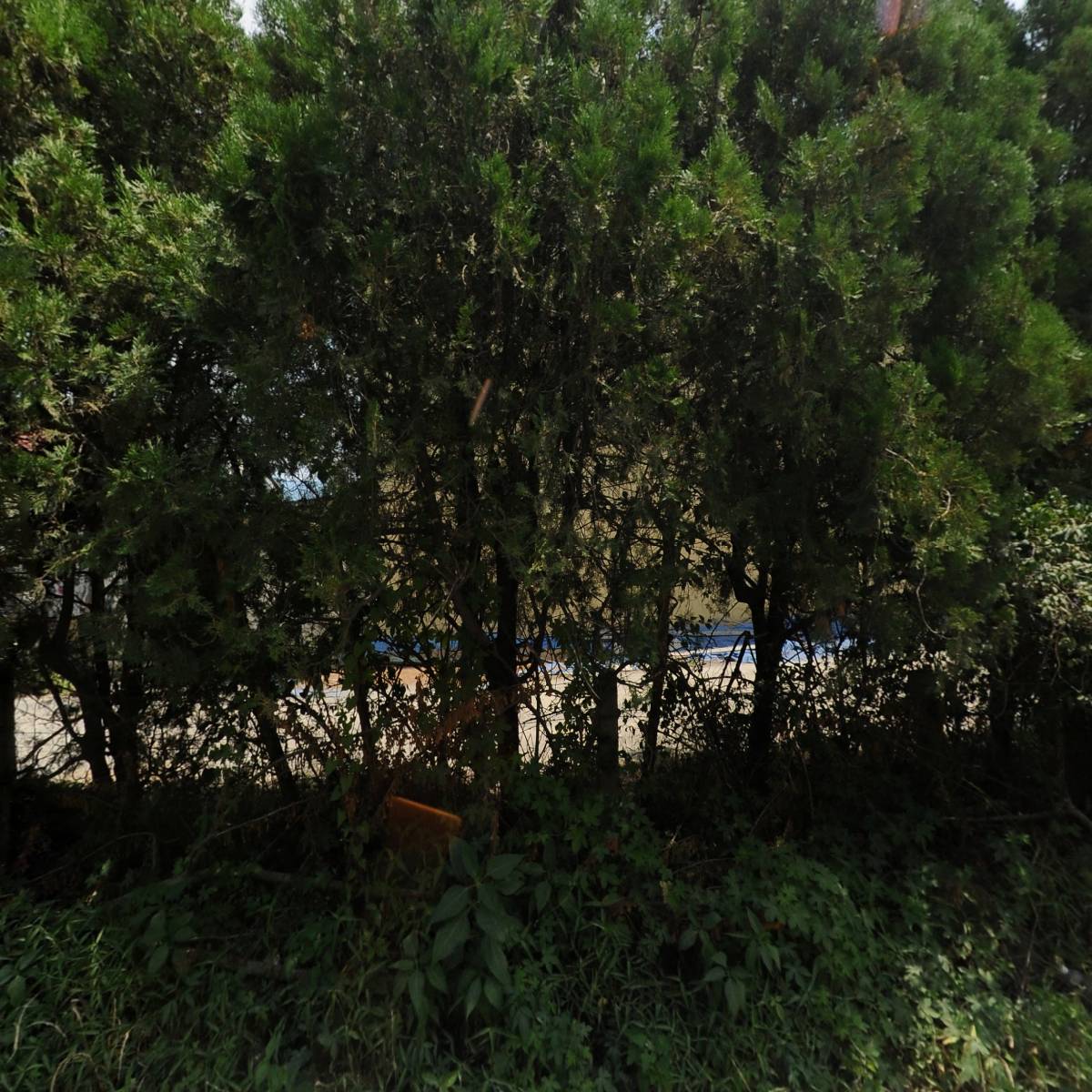 세중자동차공업사