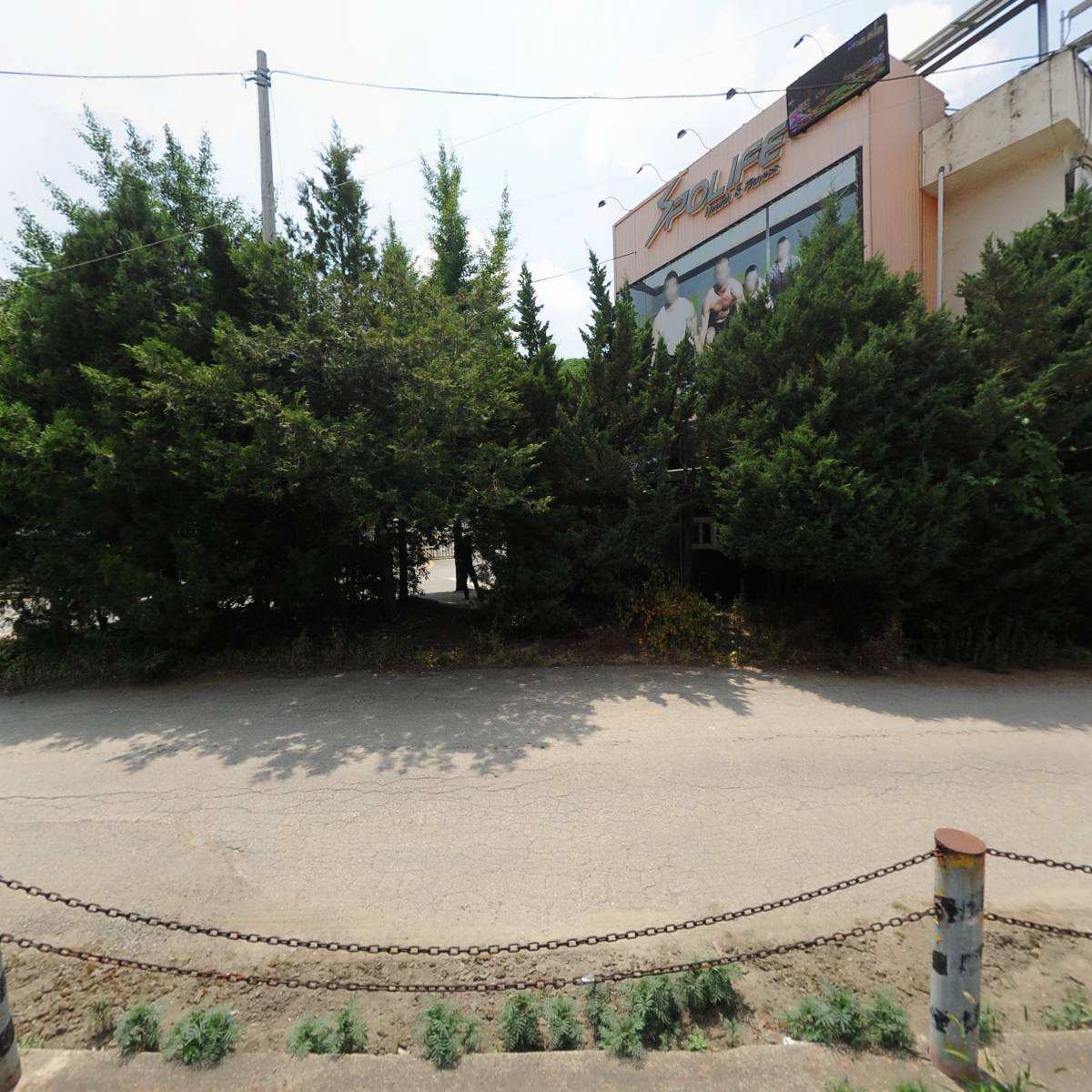 청주화훼꽃직매장