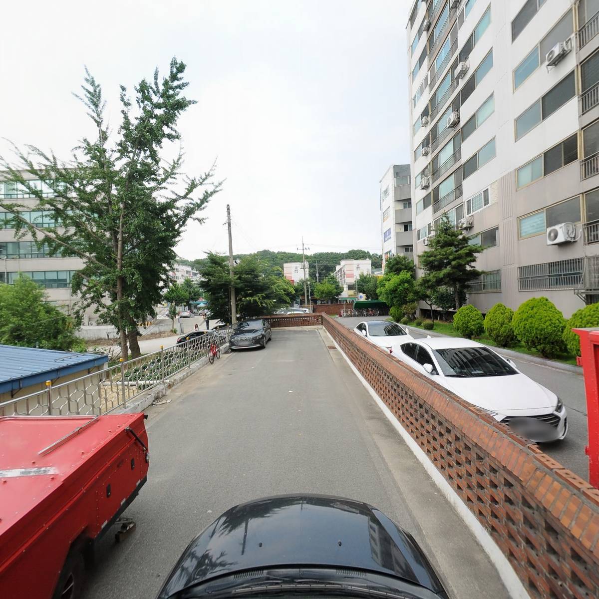 벤스누나_4