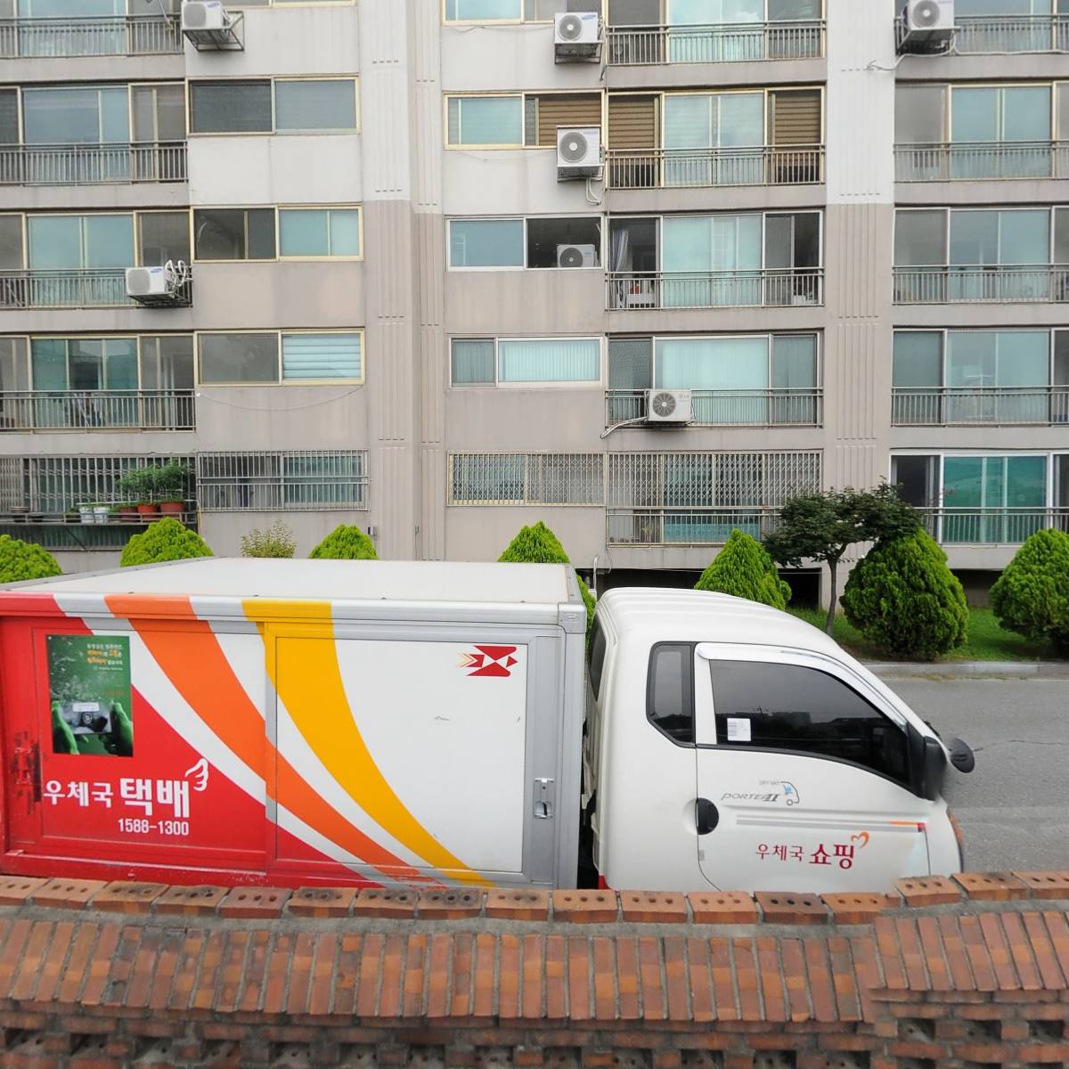벤스누나