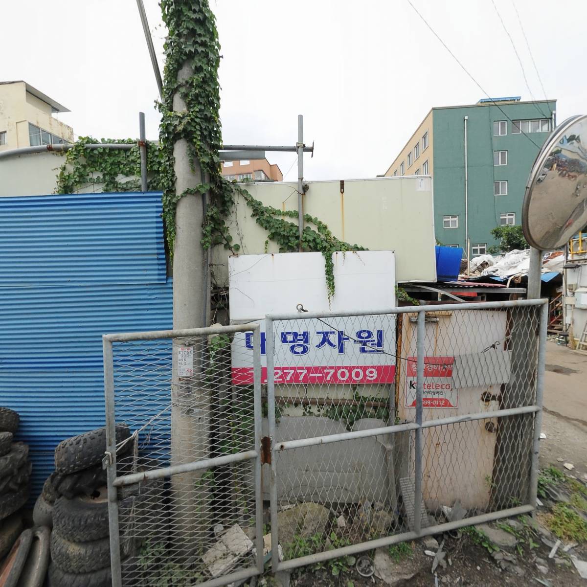 대명자원