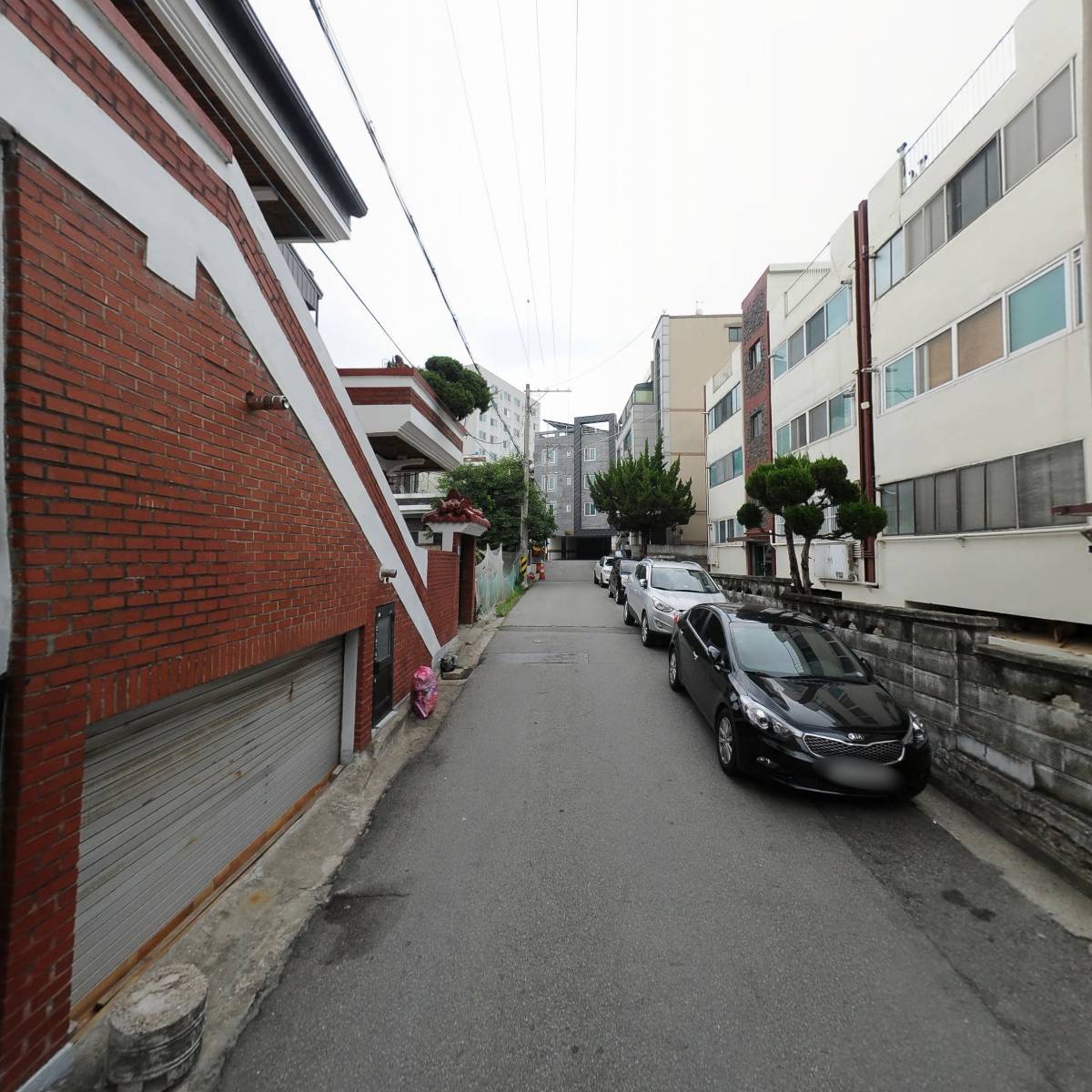 드림스포츠_2