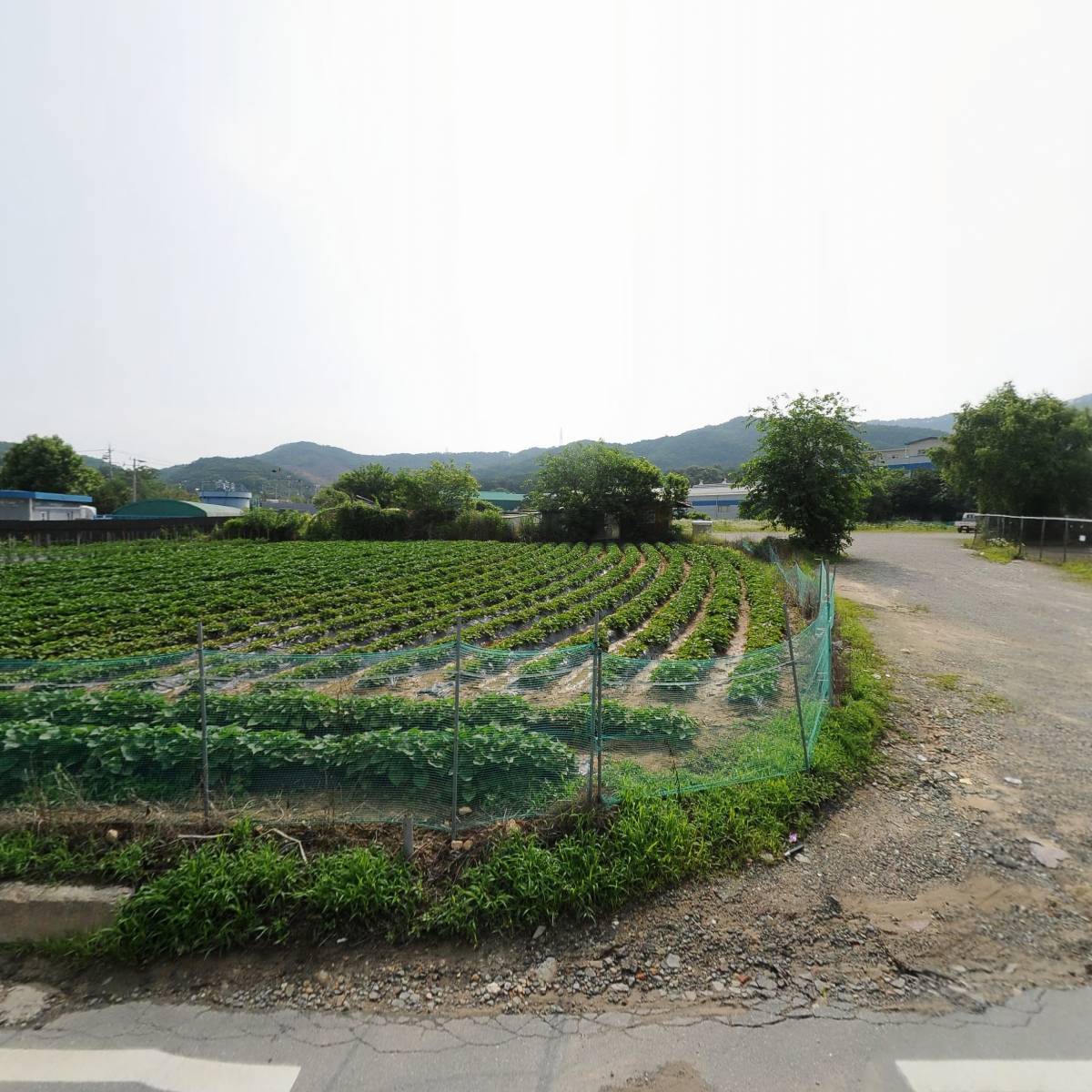 초정약수원탕