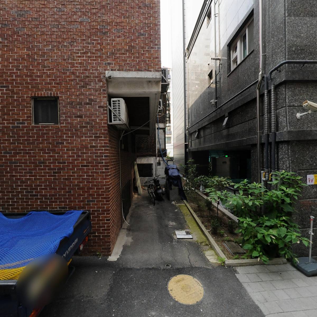 아델란타_3