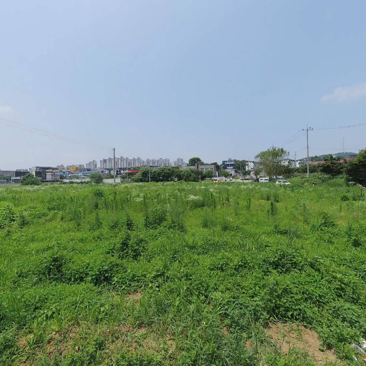 인웨이브(INWAVE)