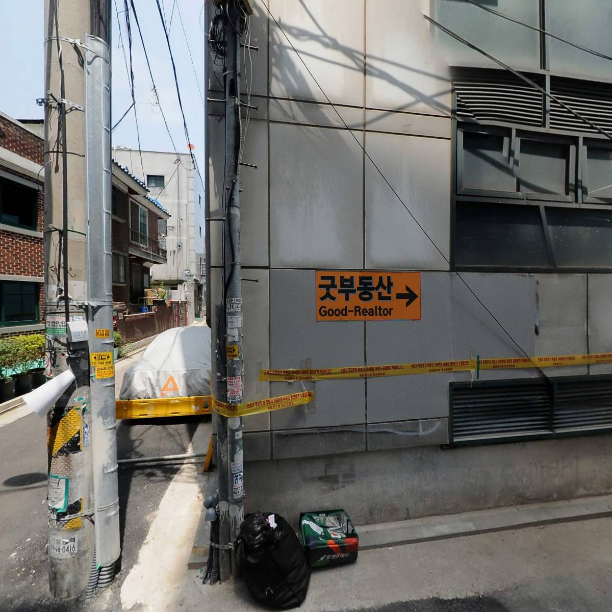 차나무뱅쇼
