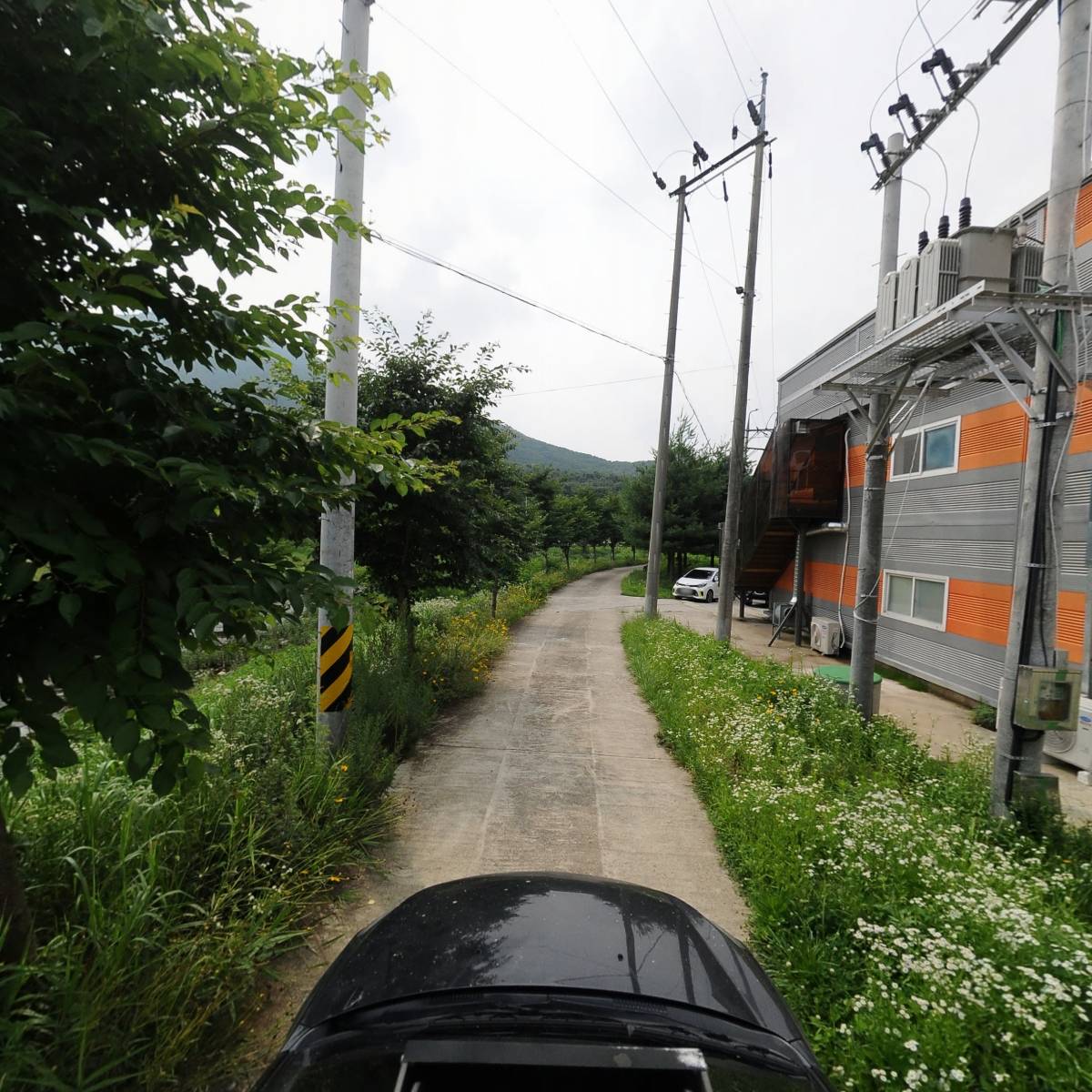 (주)복숭아집밤비네_4