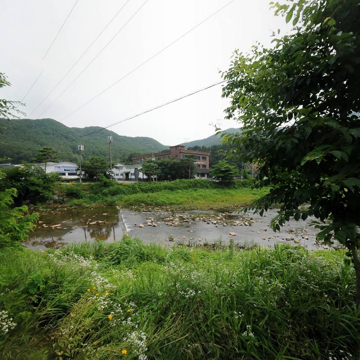 (주)복숭아집밤비네_3