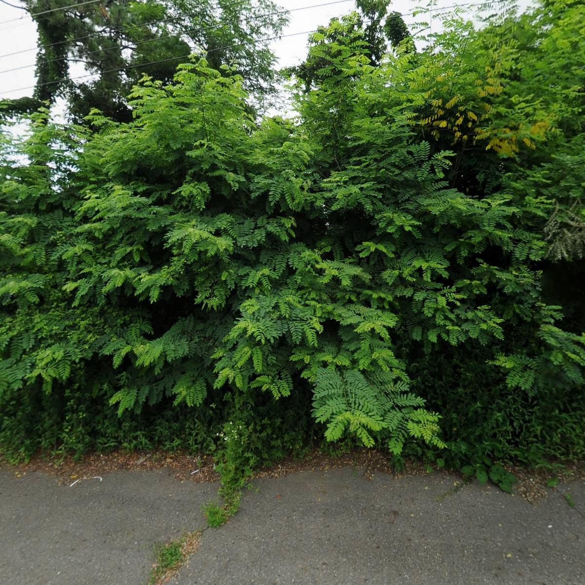 구성산업_3