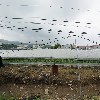 정직한사람들_3