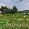 주식회사 영필름_3