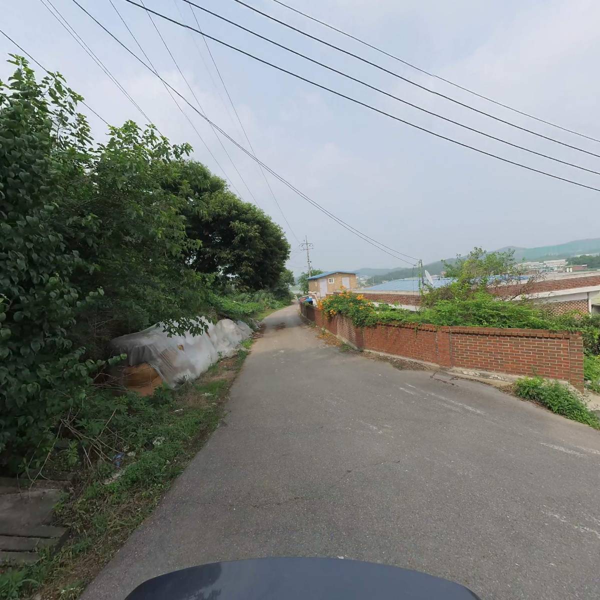 농업회사법인 주식회사 봉골농장_2