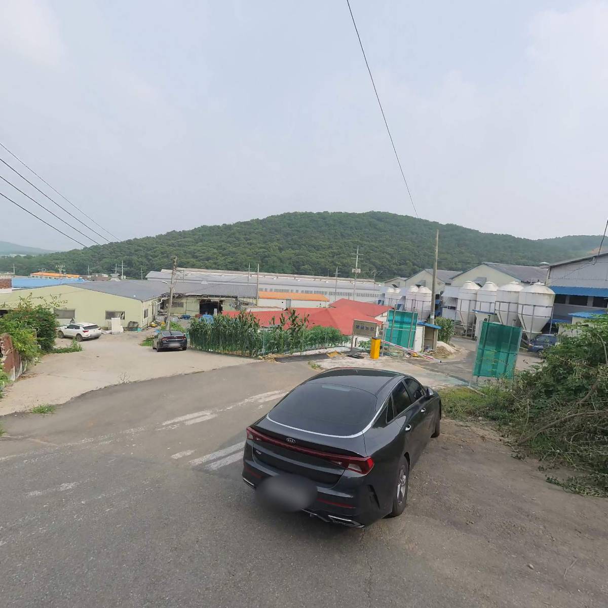 농업회사법인 주식회사 봉골농장_3