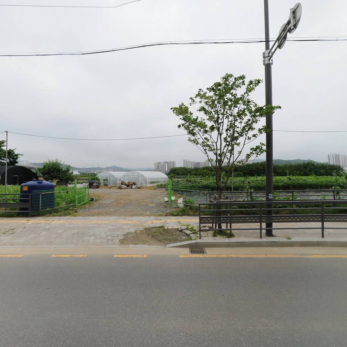 명성 디젤