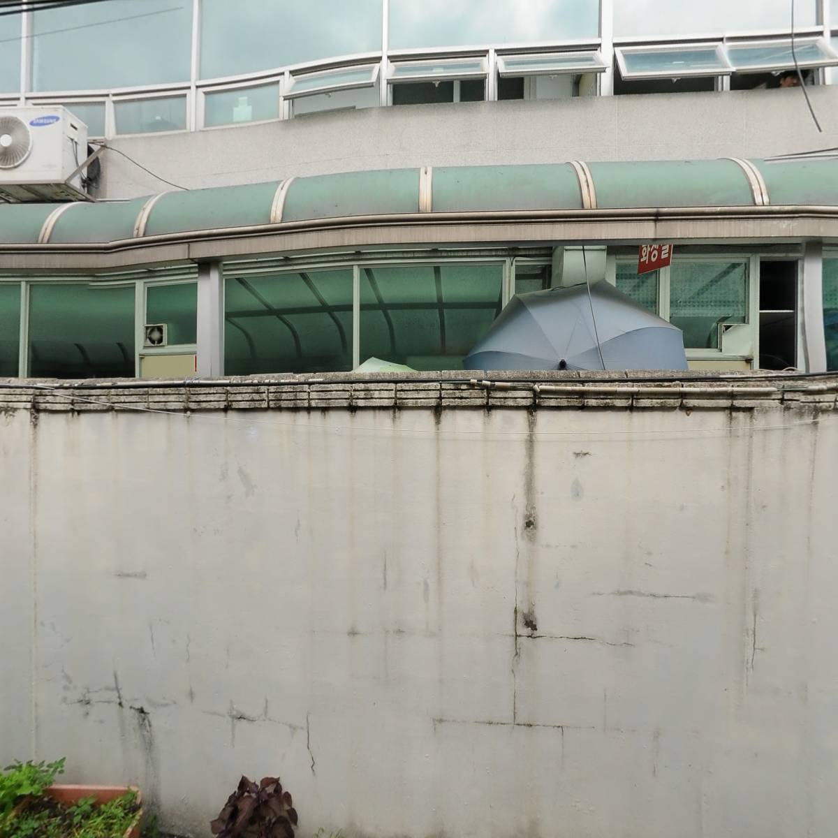 프라이드A(PrideA)