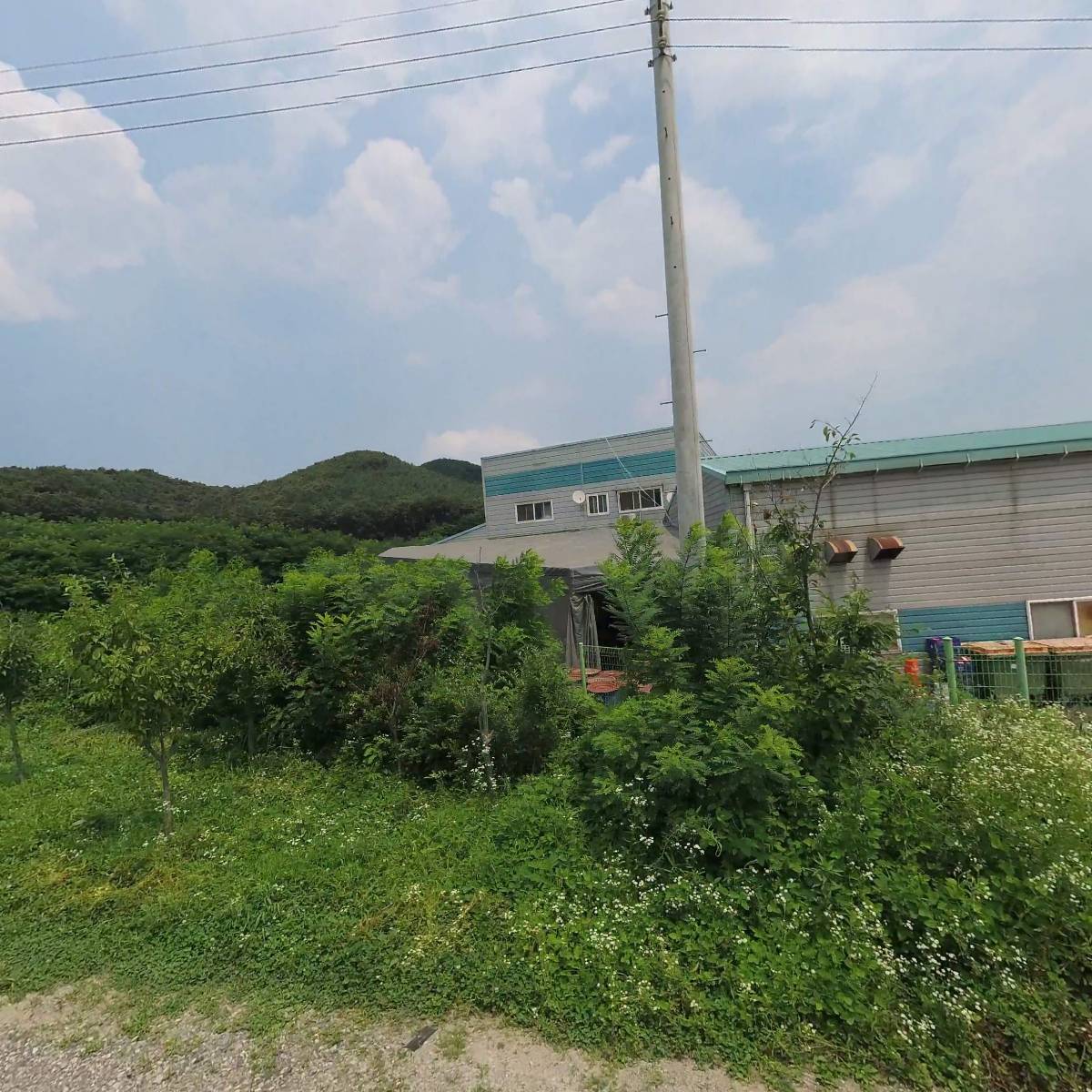 주식회사 신세대푸드