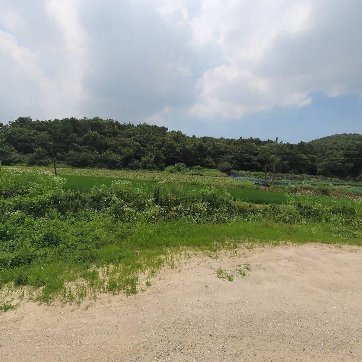주식회사 신세대푸드_3