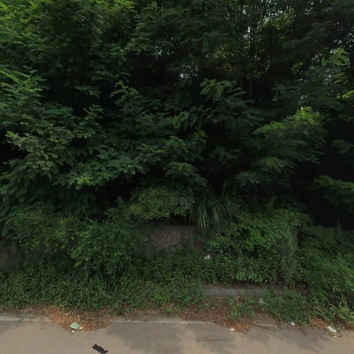 금하CNC