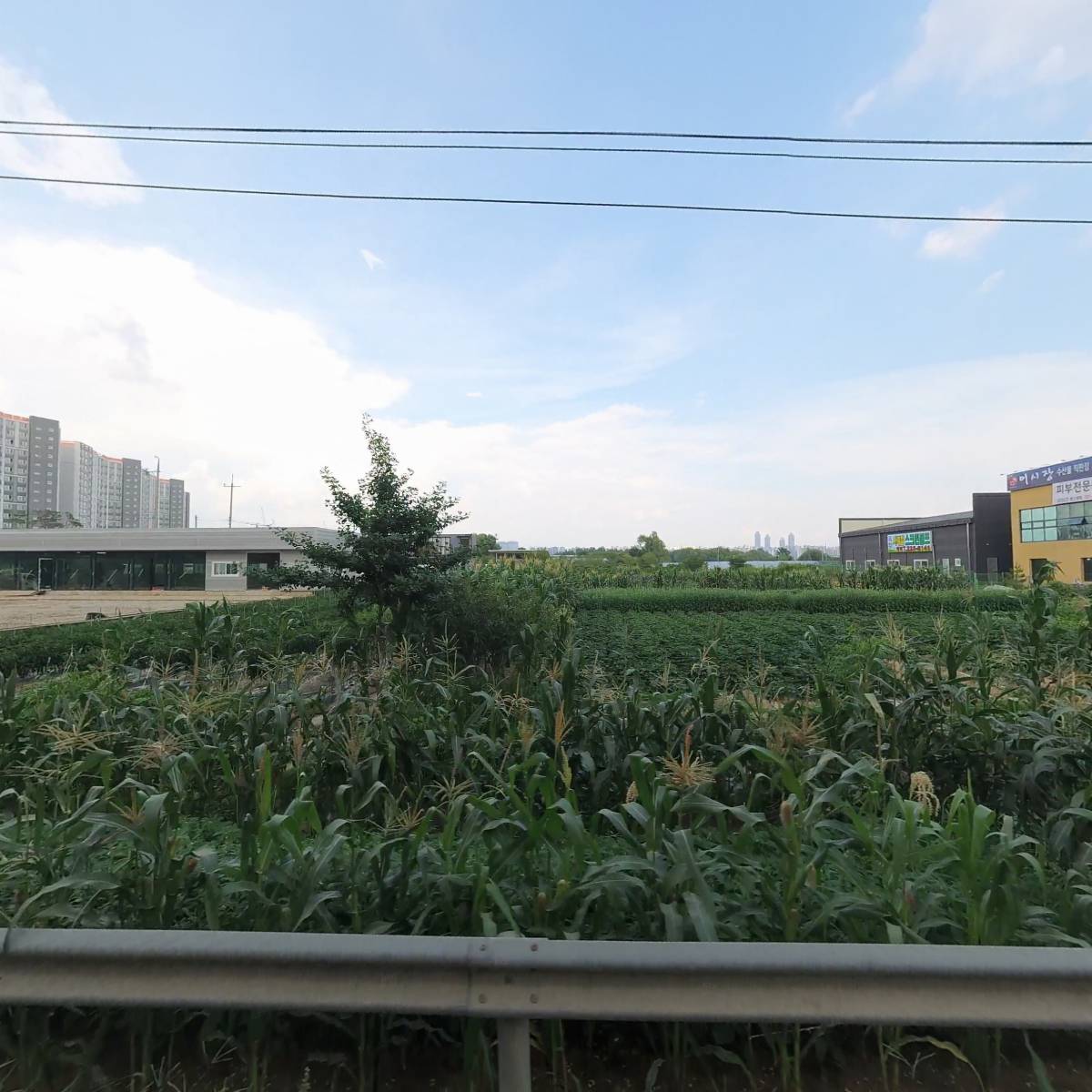 식판스토리 수원점