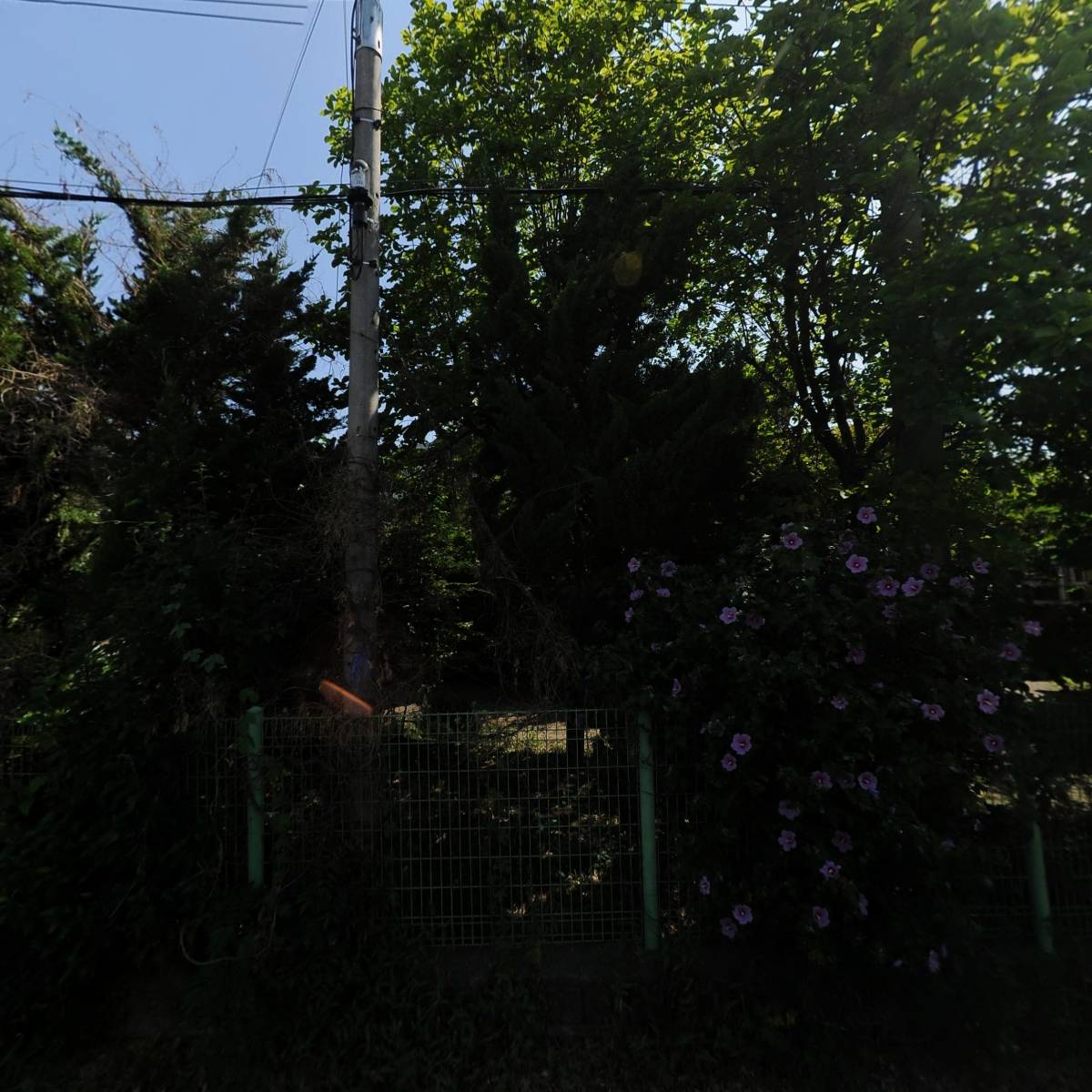 인텔릭스（주）광주공장