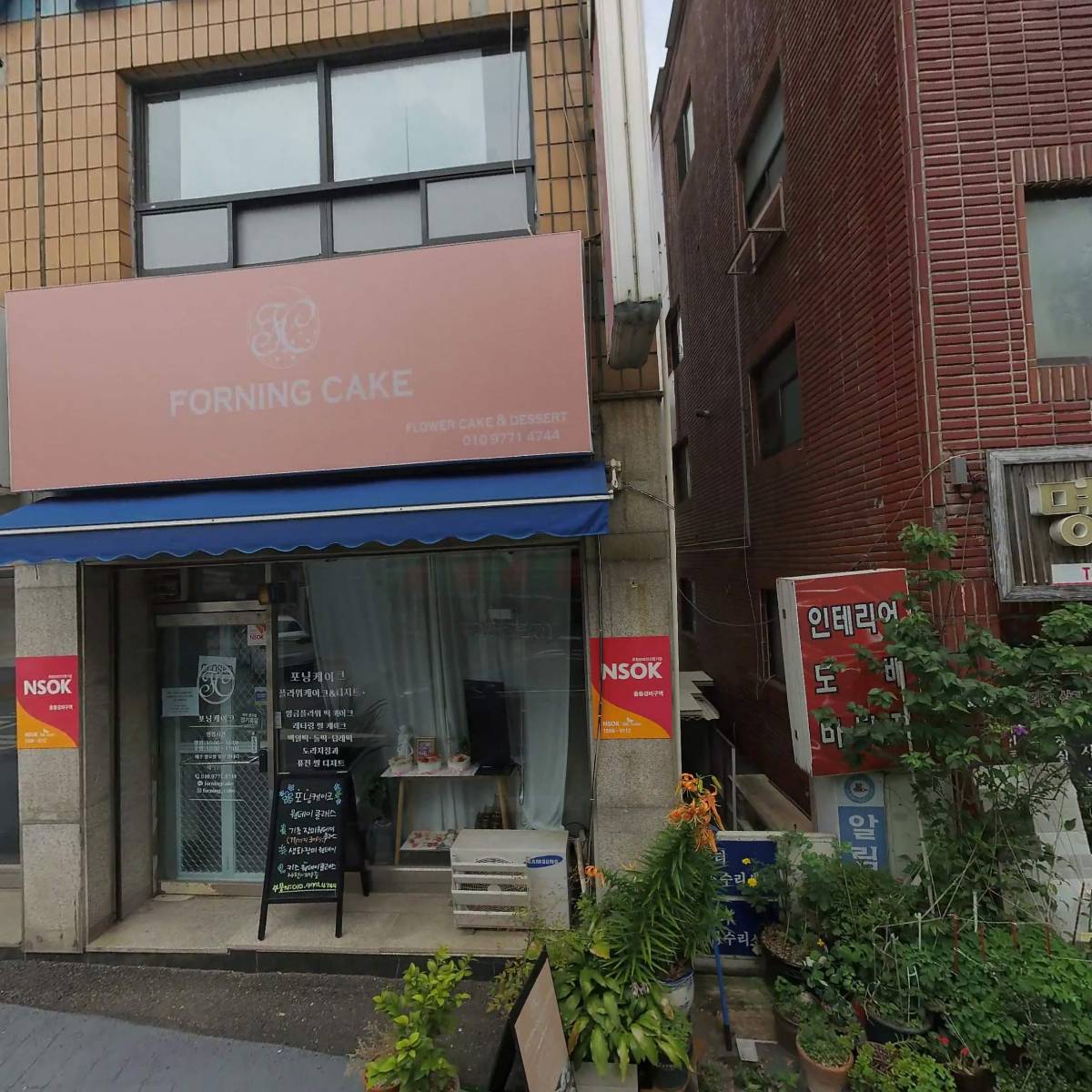 파인데이온