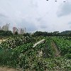 석천 생선구이