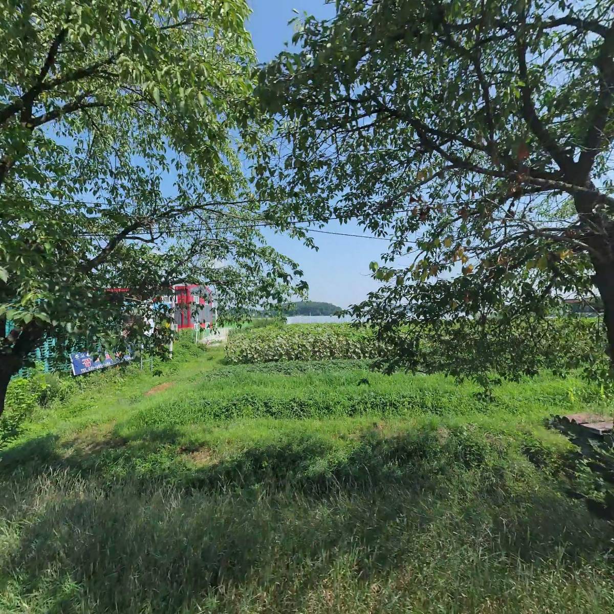 (주)금강산투어 지점