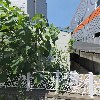 주)제일켐텍_3