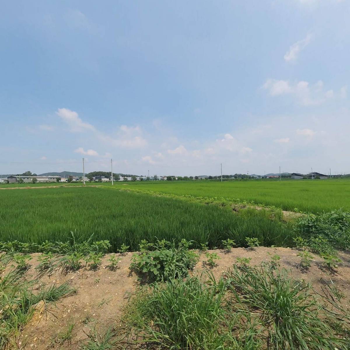 (주)아이도요
