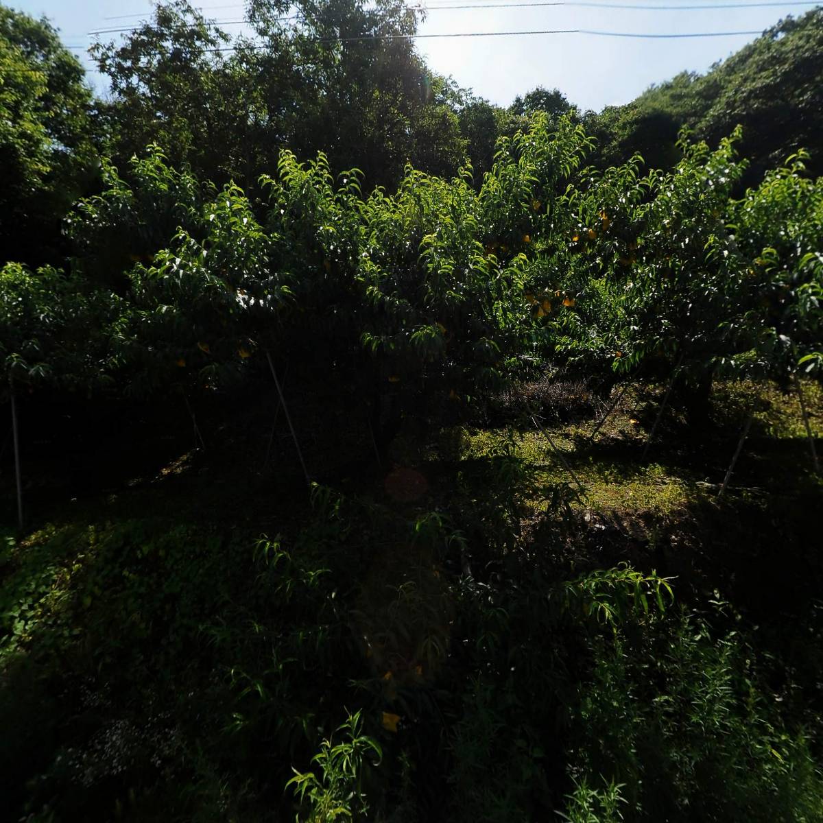 주식회사 신우프로텍