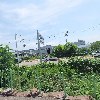 피앤케이에코(주)