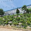 주식회사 닛시