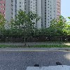 소온니트_3