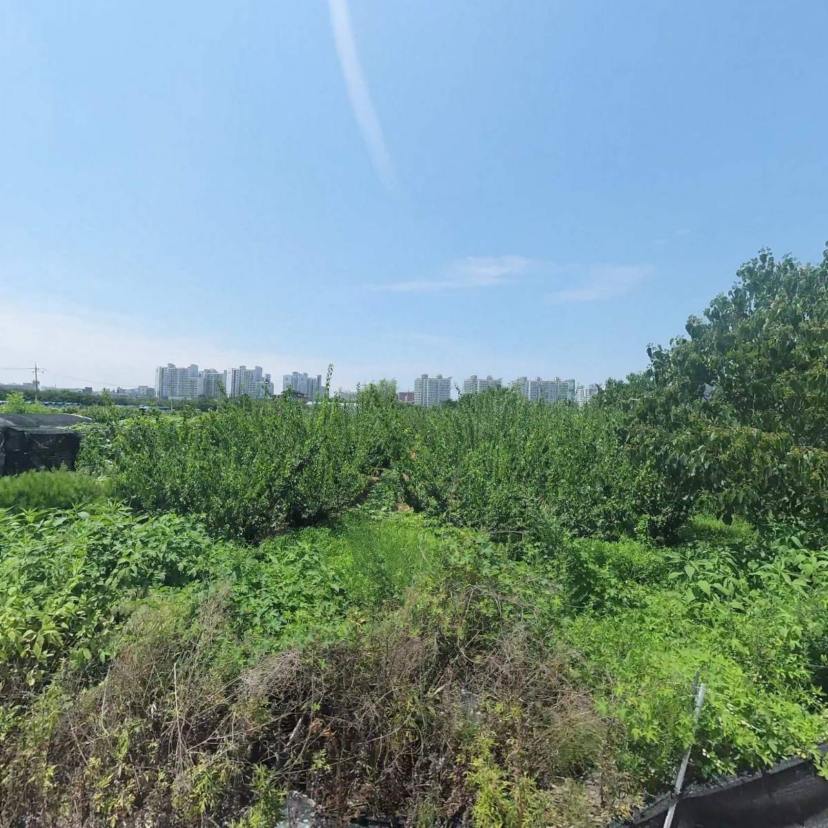 주식회사 우리농산푸르게