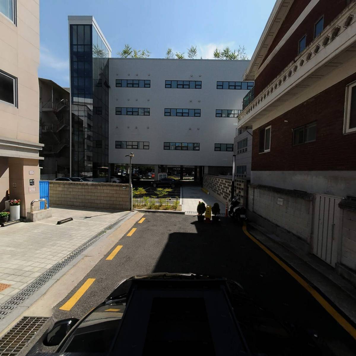 완두라인_4