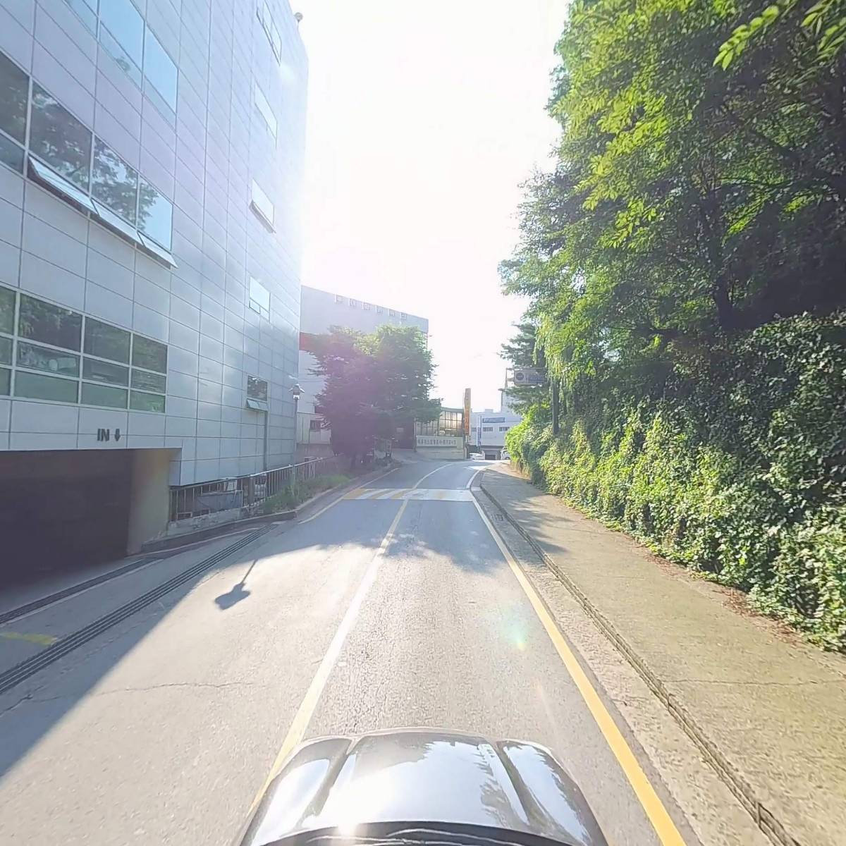 해지인_4