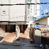 경춘건설