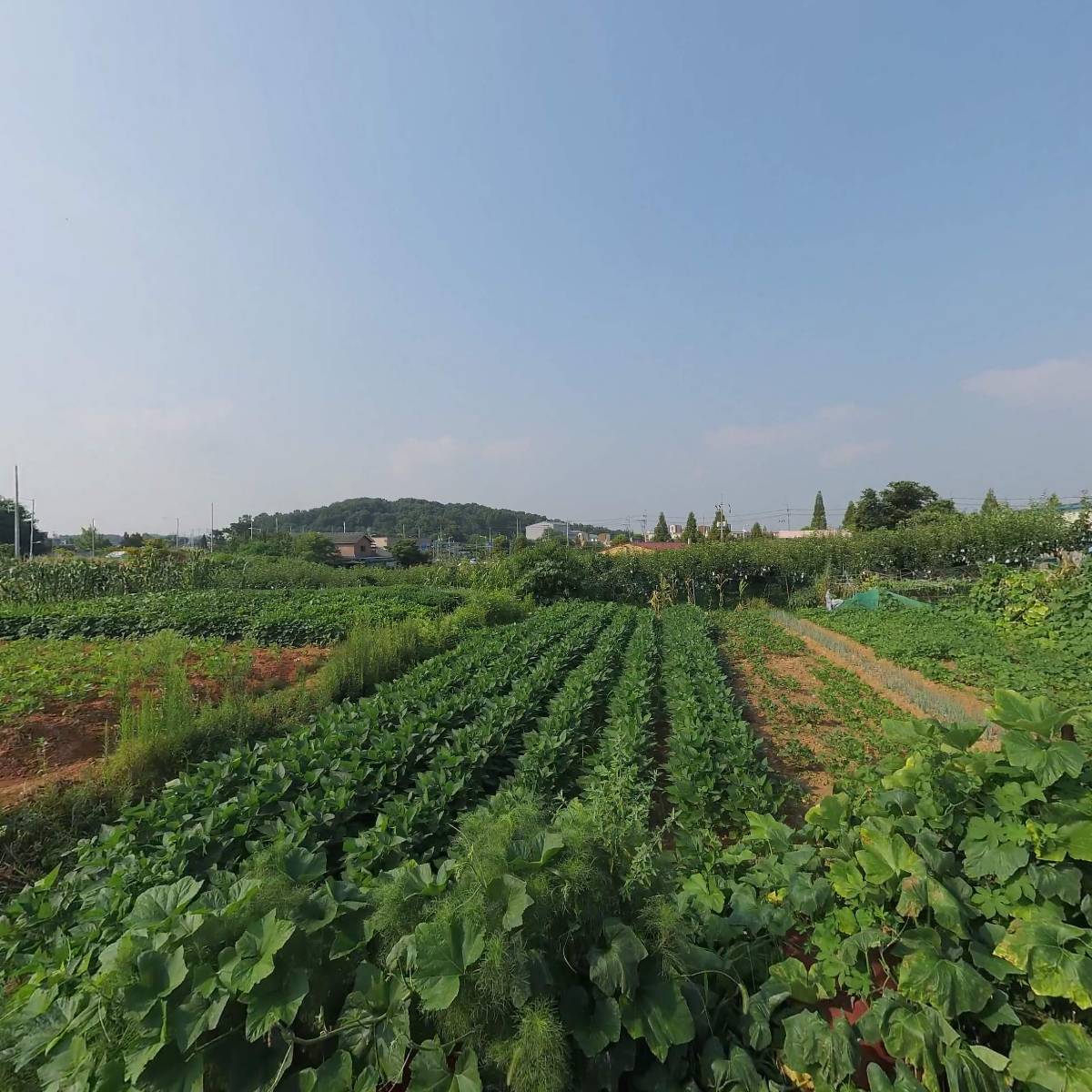 (주)청강건설