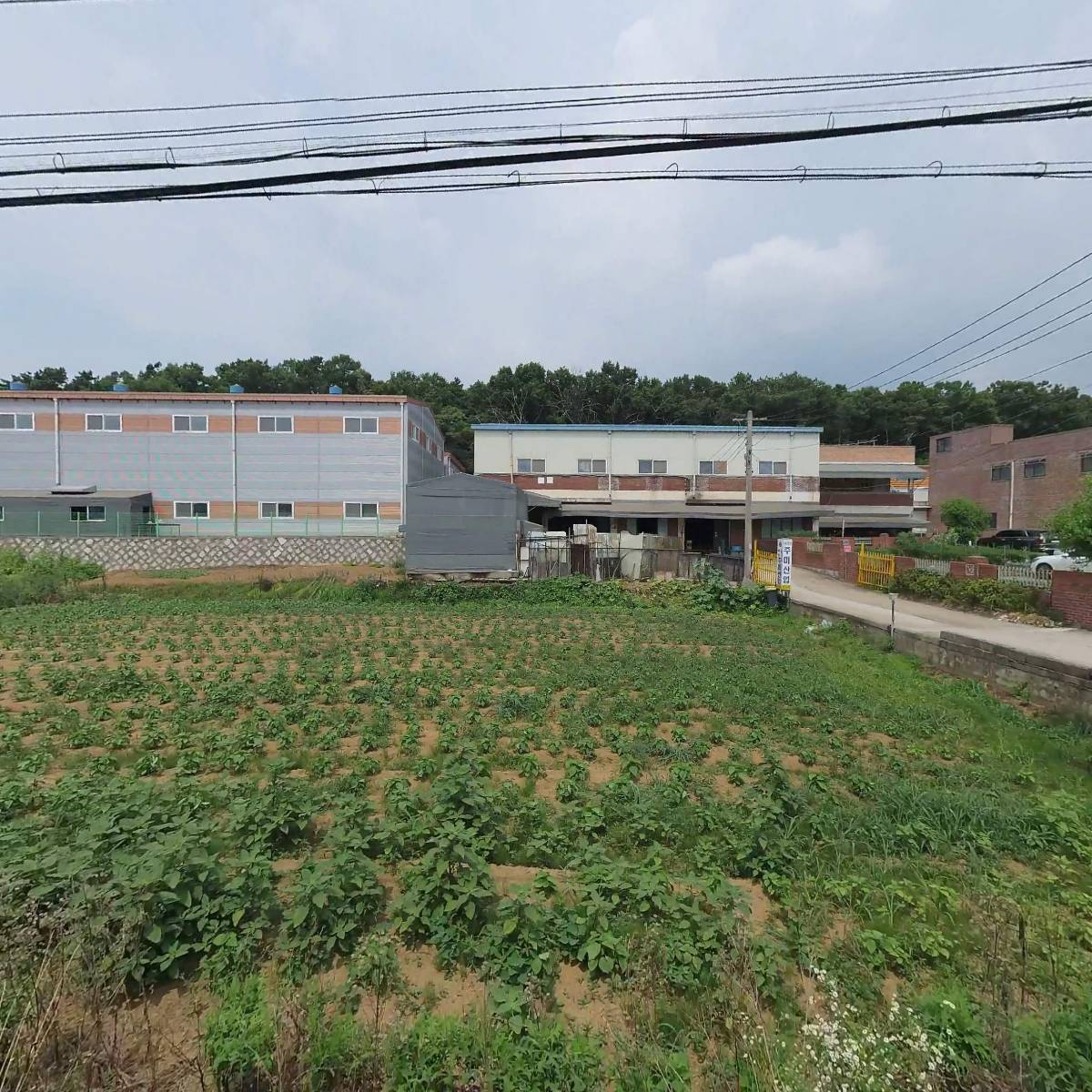 (주)세미광